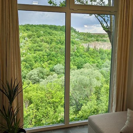Сottage "Family Estate" Villa Kamjanets-Podilsky Buitenkant foto
